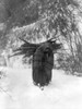 Sioux Woman, C1908. /Na Sioux Woman Carrying Firewood On Her Back Through The Snow. Photograph By Edward S. Curtis, C1908. Poster Print by Granger Collection - Item # VARGRC0116795