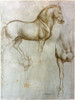 Da Vinci: Equestrian Study. /Nstudies For The Equestrian Casting For The Sforza Monument By Leonardo Da Vinci. Poster Print by Granger Collection - Item # VARGRC0021854
