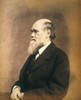 Charles Robert Darwin /N(1809-1882). English Naturalist. Photographed C1867. Poster Print by Granger Collection - Item # VARGRC0045610 Charles Robert Darwin /N(1809-1882). English Naturalist. Photographed C1867. Poster Print by Granger Collection - Item # VARGRC0045610