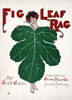 Joplin: Sheet Music. /Nsheet Music Cover Of Scott Joplin'S "Fig Leaf Rag," 1908. Poster Print by Granger Collection - Item # VARGRC0022703