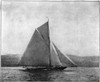 Yacht: Britannia, 1893. /Nthe Prince Of Wales' Yacht 'Britannia,' Winner Of The Royal London Cup At The Cowes Regatta. Photograph, 1893. Poster Print by Granger Collection - Item # VARGRC0353302