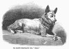 Alaskan Husky. /Ndr. Kane'S Eskimo Dog, 'Etah.' Wood Engraving, 1858. Poster Print by Granger Collection - Item # VARGRC0100802