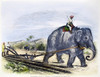 Elephant Plowing, 1847. /Nan Elephant Plowing A Field On A Sugar Plantation In India. Wood Engraving, 1847. Poster Print by Granger Collection - Item # VARGRC0086780