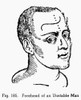 Physiognomy, 1648. /Nforehead Of An Unstable Man. Woodcut, 1648, From Philippus Phinella'S 'Metoposcopia'. Poster Print by Granger Collection - Item # VARGRC0097077