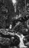 Germany: Riesengebirge. /Npath In The Riesengebirge Mountain Range, Germany. Photograph, C1900. Poster Print by Granger Collection - Item # VARGRC0433594