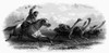 Argentina: Gaucho, C1870. /Nostrich Hunting On The Pampas. American Banknote Steel Engraving, C1870. Poster Print by Granger Collection - Item # VARGRC0101439