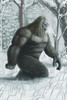 Bigfoot Poster Print by Spencer Sutton/Science Source - Item # VARSCIBW8666