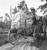 Florida: Moving Day, 1936. /Nmoving Day In Turpentine Pine Forest Country In Florida. Photograph By Dorothea Lange, 1936. Poster Print by Granger Collection - Item # VARGRC0353545