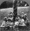 May Day, C1906. /Nschoolgirls Sitting Around A Decorated Tree Used For A Maypole In Celebration Of May Day, In Rural America. Stereograph, C1906. Poster Print by Granger Collection - Item # VARGRC0131000