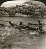 Egypt: Nile, 1901. /N'Nubian Boys Shooting The Rapids Of The Nile On Logs, Egypt.' Stereograph, 1901. Poster Print by Granger Collection - Item # VARGRC0324788