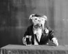 Bulldog, C1905. /N'Old Heidelberg.' Photograph, C1905. Poster Print by Granger Collection - Item # VARGRC0266749