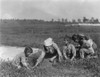 Migrant Family, 1910. /Na Family Of Migrant Farmers At Work Picking Berries On A Farm In Brown Mills, New Jersey. Photograph By Lewis Hine, September 1910. Poster Print by Granger Collection - Item # VARGRC0106264