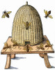 Beehive, 1658. /Nenglish Woodcut. Poster Print by Granger Collection - Item # VARGRC0053378