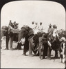 India: Jaipur, C1907. /N'State Elephants Of The Maharaja On Parade, Jaipur, India.' Stereograph, C1907. Poster Print by Granger Collection - Item # VARGRC0323226