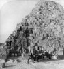 Egypt: Cheops Pyramid. /Ngroup Of Tourists With Guides On Camels, Climbing The Cheops Pyramid At Giza, Egypt. Stereograph, C1896. Poster Print by Granger Collection - Item # VARGRC0115570