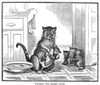 Mother Cat, 1880. /Nwashing The Babies' Faces. Line Engraving, 1880. Poster Print by Granger Collection - Item # VARGRC0100927