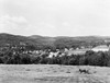 Vermont: Farming, 1941. /Nfarmer Stacking Hay With A Drop Rake Drawn By A Horse, Near Springfield, Vermont. Photograph By Jack Delano, August 1941. Poster Print by Granger Collection - Item # VARGRC0122972