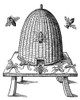 Beehive. /Nwoodcut, English, 1658. Poster Print by Granger Collection - Item # VARGRC0014706