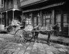 New Orleans: Milk Cart. /Na Horse-Drawn Milk Cart Outside A Restaurant On A Street In New Orleans, Lousiana. Photographed C1903. Poster Print by Granger Collection - Item # VARGRC0131764