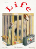 Magazine: Life, 1925. /N'Life' Magazine Cover, 16 July 1925. Poster Print by Granger Collection - Item # VARGRC0095849