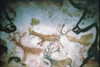 Cave Art. /Nherd Of Deer From Cave Of Lascaux, Montignac, France. Poster Print by Granger Collection - Item # VARGRC0023511