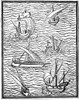 Spanish Ships, 1545. /Nvessels Of The Early Spanish Navigators. Woodcut From Medina'S 'Arte De Navegar,' Valladolid, 1545. Poster Print by Granger Collection - Item # VARGRC0014245