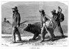 Dancing Bear. /Nwood Engraving, 19Th Century. Poster Print by Granger Collection - Item # VARGRC0082417