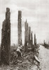 World War I: Destruction. /Nan Allied Soldier Amid A Destroyed Tree-Lined Street During World War I. Photograph, C1916. Poster Print by Granger Collection - Item # VARGRC0407961