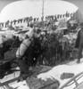 Alaska: Gold Rush, C1898. /Na Large Group Of Gold Prospectors And Packers On Dyea Trail, Alaska. Photograph, C1898. Poster Print by Granger Collection - Item # VARGRC0116220