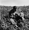 World War Ii: Soldier, 1945. /Nan American Soldier In A Field In Italy Putting Flowers In His Helmet On Easter Sunday, 1945, Near The End Of World War Ii. Photographed By Toni Frissell. Poster Print by Granger Collection - Item # VARGRC0118639