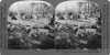 World War I: French Camp. /Nfrench Troops Relaxing At Camp During World War I. Stereograph, C1916. Poster Print by Granger Collection - Item # VARGRC0325625