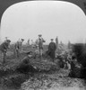 World War I: Trenches. /Ntroops With The British Royal Engineers Constructing Second Line Trenches In Flanders. Stereograph, C1915. Poster Print by Granger Collection - Item # VARGRC0325453