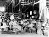 Child Labor, 1912. /Nchildren Working In A Vegetable Cannery In Baltimore, Maryland. Photograph By Lewis W. Hine, 1912. Poster Print by Granger Collection - Item # VARGRC0003312