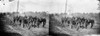 Civil War: Corduroy Road. /Nengineers Building Corduroy Road In The Vicinity Of Richmond, Virginia. Photograph By David B. Woodbury, June 1862 Poster Print by Granger Collection - Item # VARGRC0409289