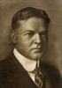 Herbert Hoover (1874-1964). /N31St President Of The United States. Photographed While Head Of The United States Food Administration,  C1917. Poster Print by Granger Collection - Item # VARGRC0370084