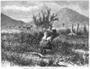 Antelope Hunting, 1874. /Nan Antelope Hunt In The American West. Wood Engraving, 1874. Poster Print by Granger Collection - Item # VARGRC0051605