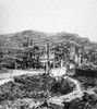 San Francisco, 1906. /Naftermath Of The Earthquake And Fire That Hit San Francisco 18 April 1906. Poster Print by Granger Collection - Item # VARGRC0127547