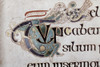Book Of Kells: Tuno. /Ndetail Of Folio 96R: An Initial, 'Tuno', C800 Ad. Poster Print by Granger Collection - Item # VARGRC0019365