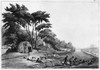 South Africa: Village. /Na Khoikhoi Village On The Gariep River In South Africa. Engraving By G. Gallina, C1815. Poster Print by Granger Collection - Item # VARGRC0260202