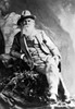 Walt Whitman (1819-1892). /Namerican Poet. Photographed In 1879 By Napoleon Sarony. Poster Print by Granger Collection - Item # VARGRC0006816