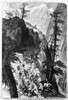 Miners On Corduroy Road. /Nprospectors Traveling On Their Way To A New Strike Over A Corduroy Road Through A Colorado Mountain Pass. Wood Engraving, American, 1879. Poster Print by Granger Collection - Item # VARGRC0037797