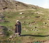 Samarkand: Shepherd, C1910. /Nphotograph By Sergei Mikhailovich Prokudin-Gorskii, C1910. Poster Print by Granger Collection - Item # VARGRC0114136