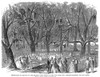 New Orleans: City Park. /Na May Day Celebration At City Park. Wood Engraving, American, 1863. Poster Print by Granger Collection - Item # VARGRC0002319