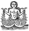 Mermaid, 1520. /Na Double-Tailed Mermaid. Woodcut, Spanish, 1520. Poster Print by Granger Collection - Item # VARGRC0079093