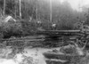 Alaska: Gold Rush, C1897. /Nhorse On Bridge Over A Stream Where Toll Was Collected From The Gold Prospectors On The Dyea Trail. Photograph, C1897. Poster Print by Granger Collection - Item # VARGRC0116221