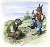 Harris: Uncle Remus, 1895. /Nbrer Rabbit And Brer Possum. Pen-And-Ink Drawing By Arthur Burdett Frost For The Second Edition Of The African American Folktale By Joel Chandler Harris, 1895. Poster Print by Granger Collection - Item # VARGRC0063646