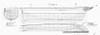 Whaling Ship Plan, 1853. /Nlines Of The Whaler 'Reindeer,' Built At Rochester, Massachussetts, 1853. The Ship Was Built For The Bering Sea Whale Fishery. Poster Print by Granger Collection - Item # VARGRC0099606 Whaling Ship Plan, 1853. /Nlines Of The Whaler 'Reindeer,' Built At Rochester, Massachussetts, 1853. The Ship Was Built For The Bering Sea Whale Fishery. Poster Print by Granger Collection - Item # VARGRC0099606