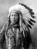 Sioux Man, C1900. /Nportrait Of Stampede, A Sioux Native American Man. Photographed By John Alvin Anderson, C1900. Poster Print by Granger Collection - Item # VARGRC0118241