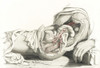 Arteries, Female Pelvis, 19th Century Poster Print by Science Source