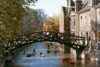 Cambridge University. /Nmathematical Bridge. Poster Print by Granger Collection - Item # VARGRC0030440